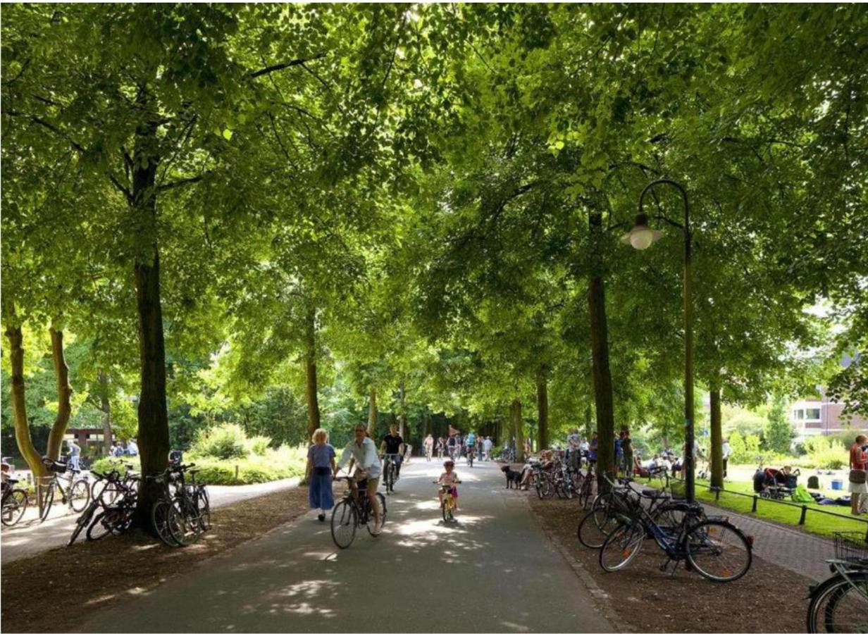 Gemuetliches Und Modernes Apartement In Gruenen Top-Lage Muenster Buitenkant foto